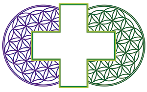 Farmacia Salah