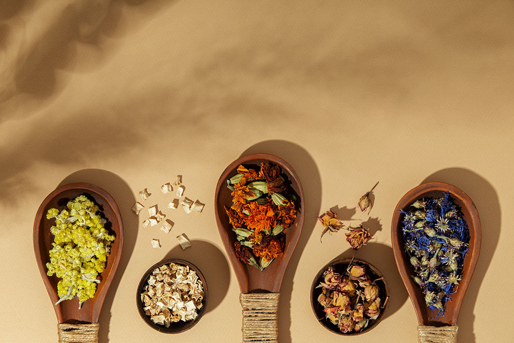 medicina-natural-farmacia-salah